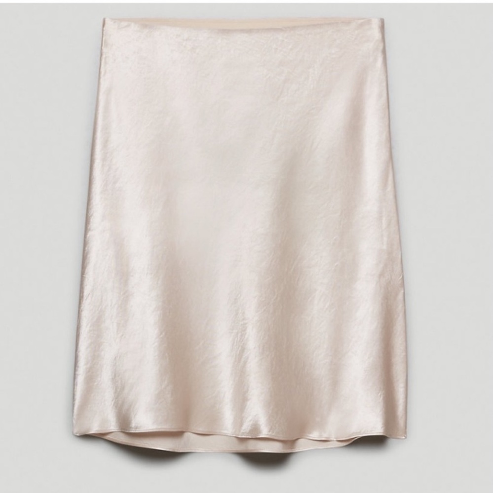 Aritzia Babanos mini skirt